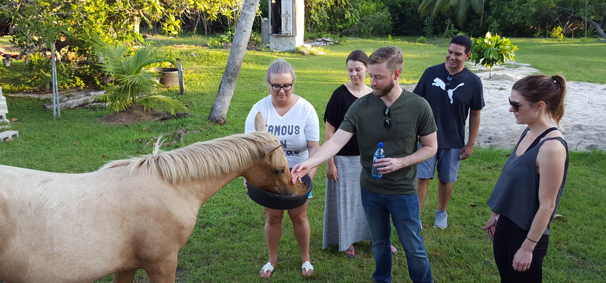 Tours offered at Nature Resort in Bermudian Landing